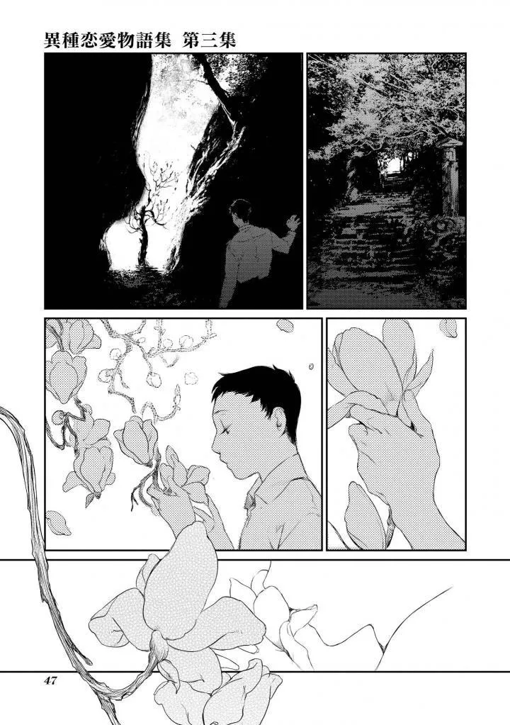 木莲 第5页