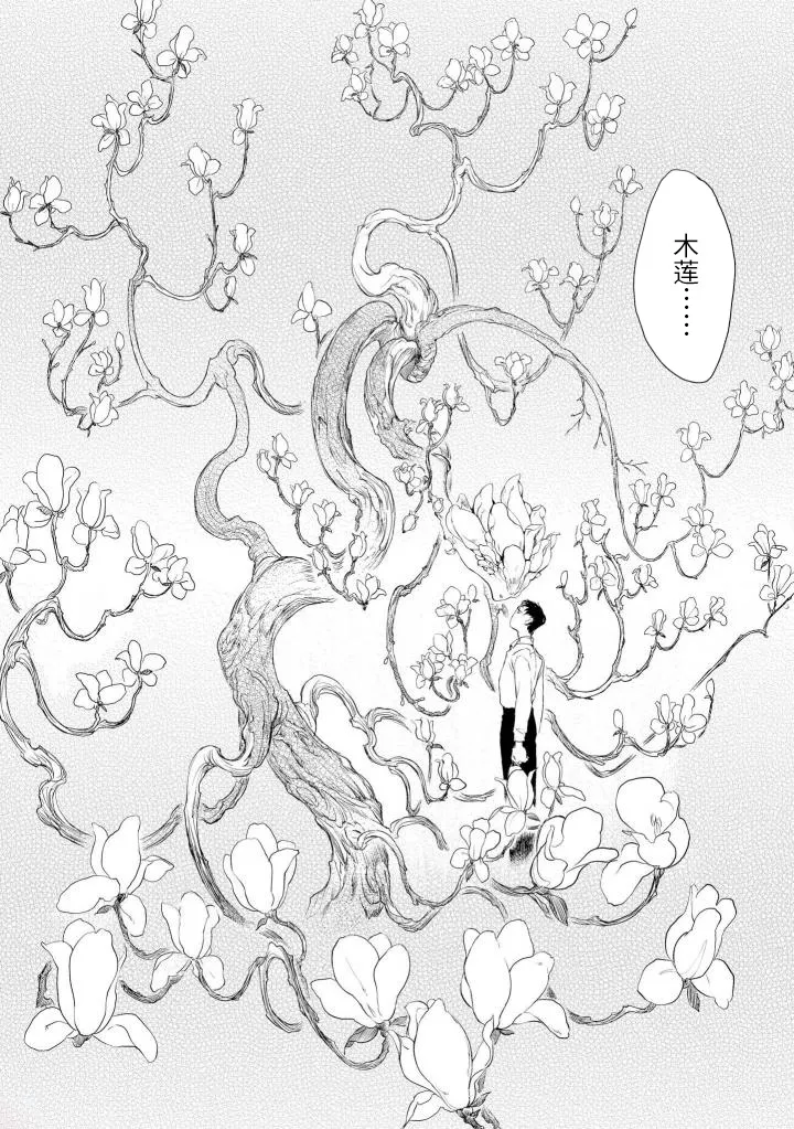 木莲 第6页