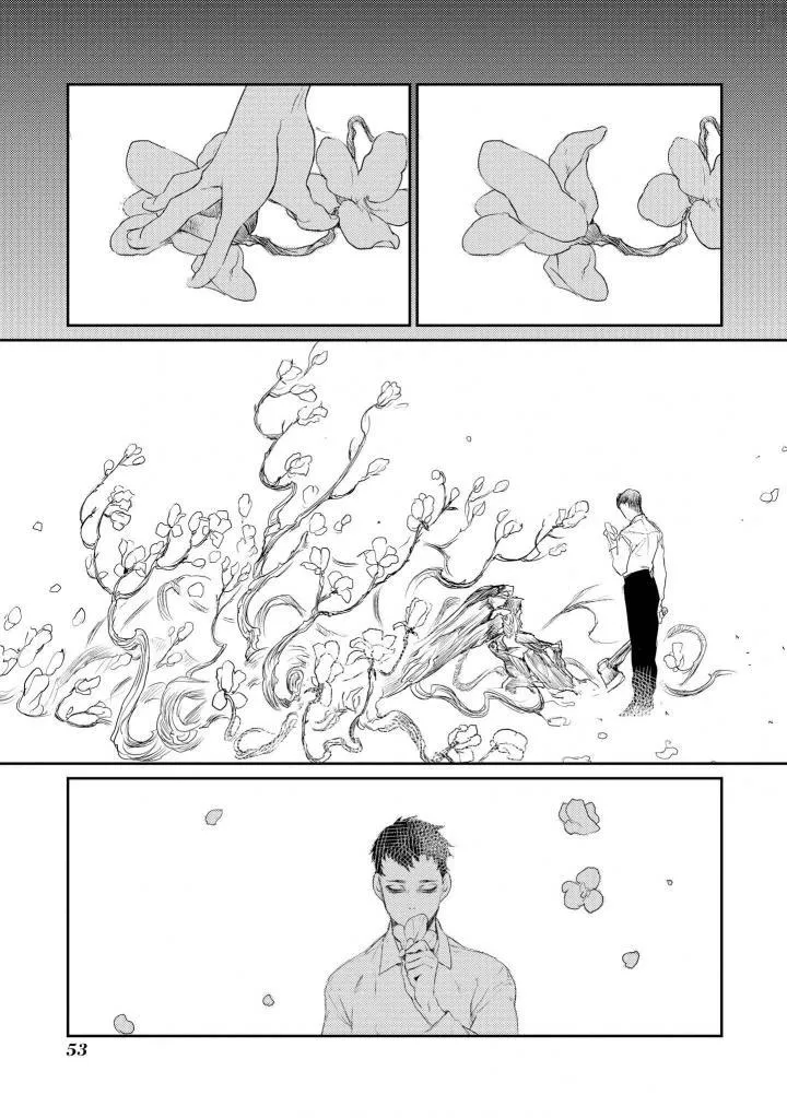 木莲 第11页