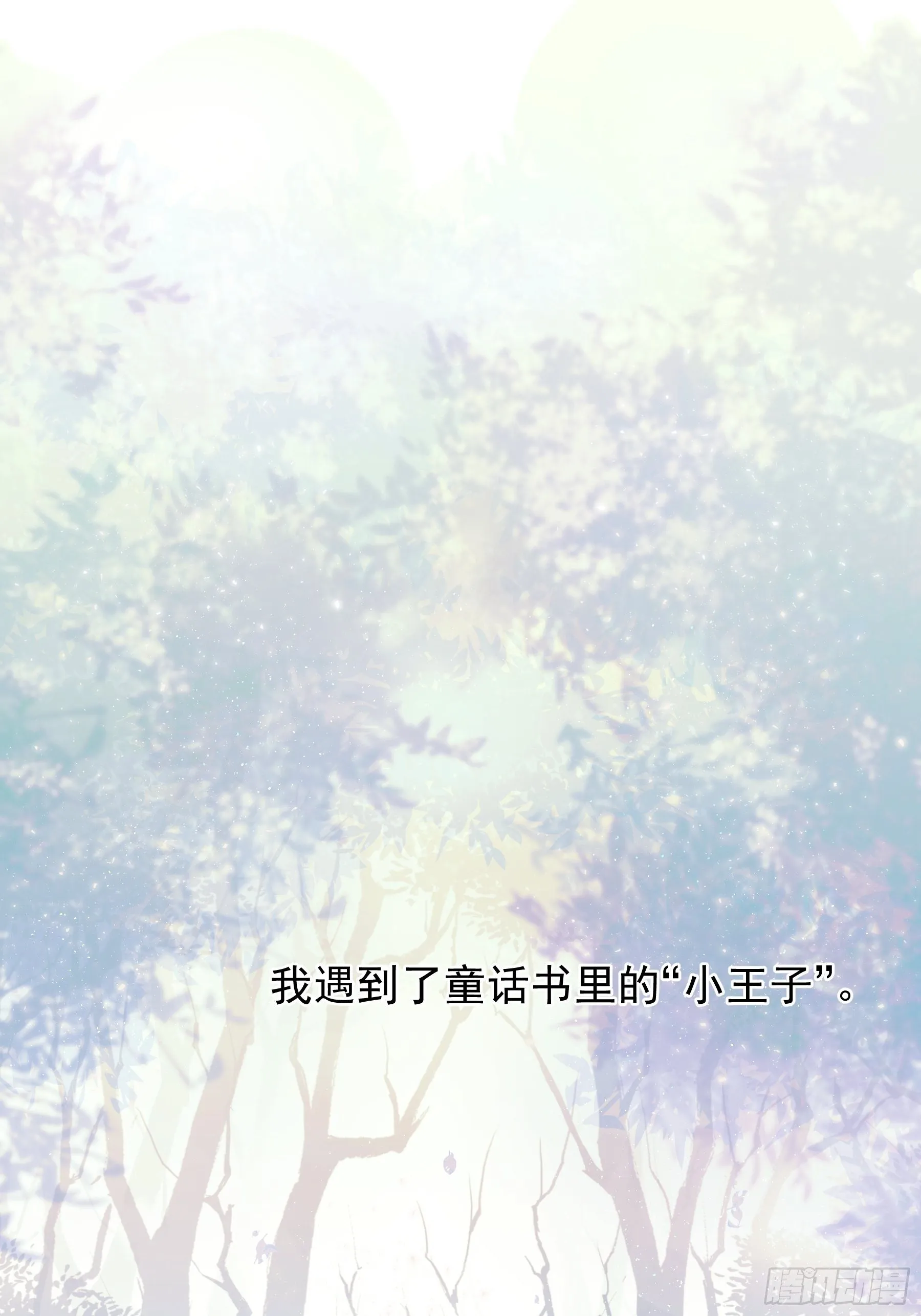 第0颗 第7页