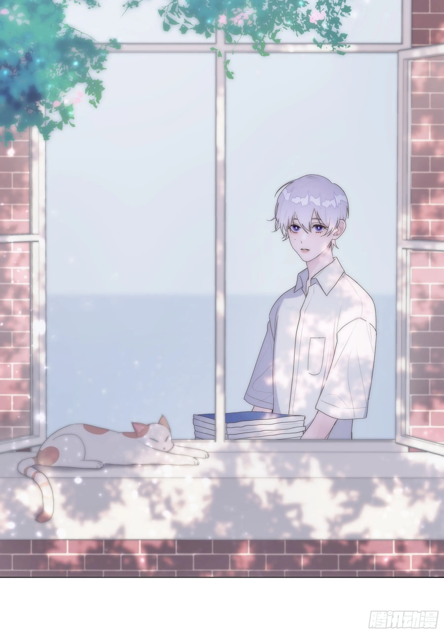 第0颗 第10页