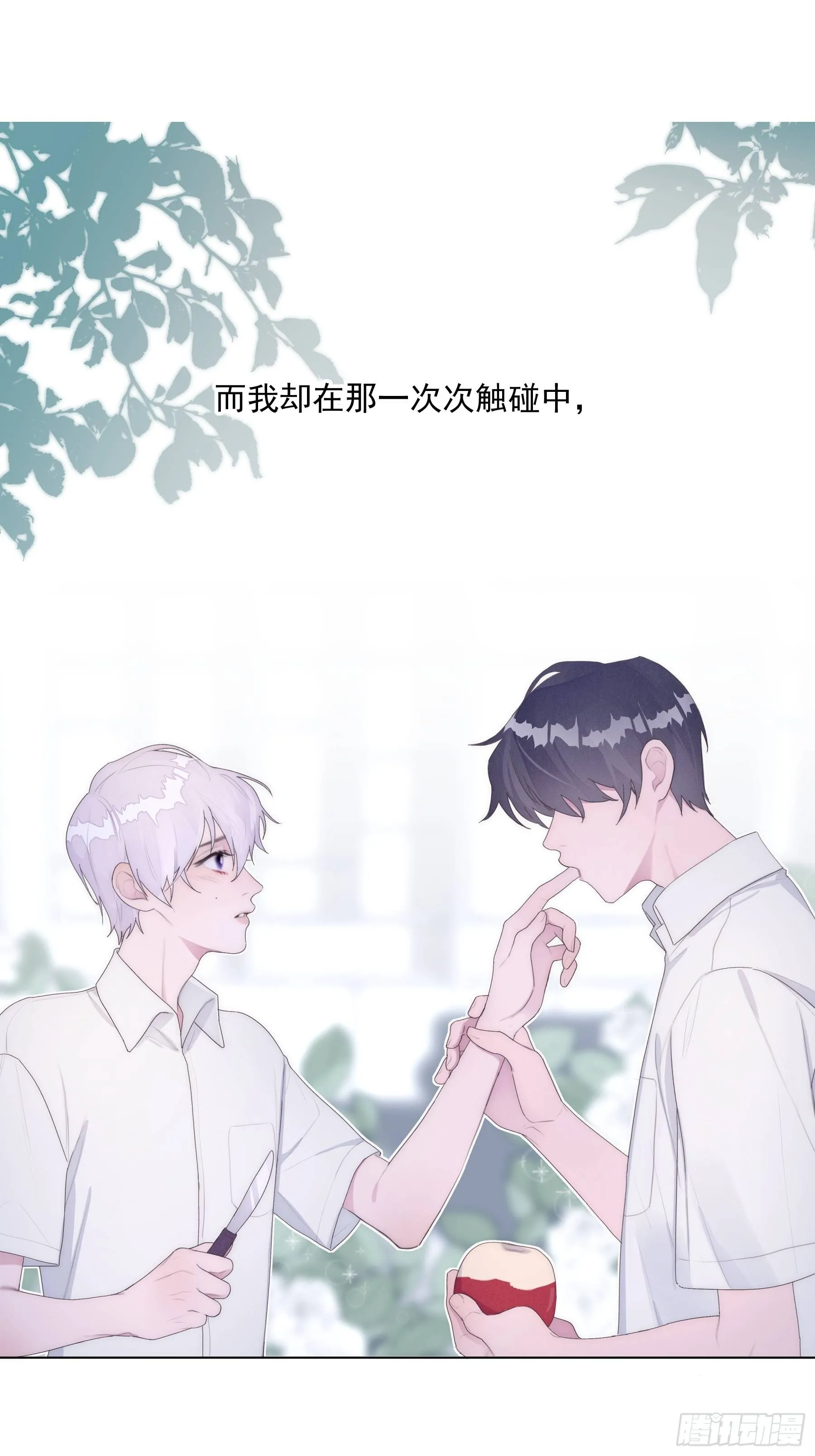 第0颗 第16页