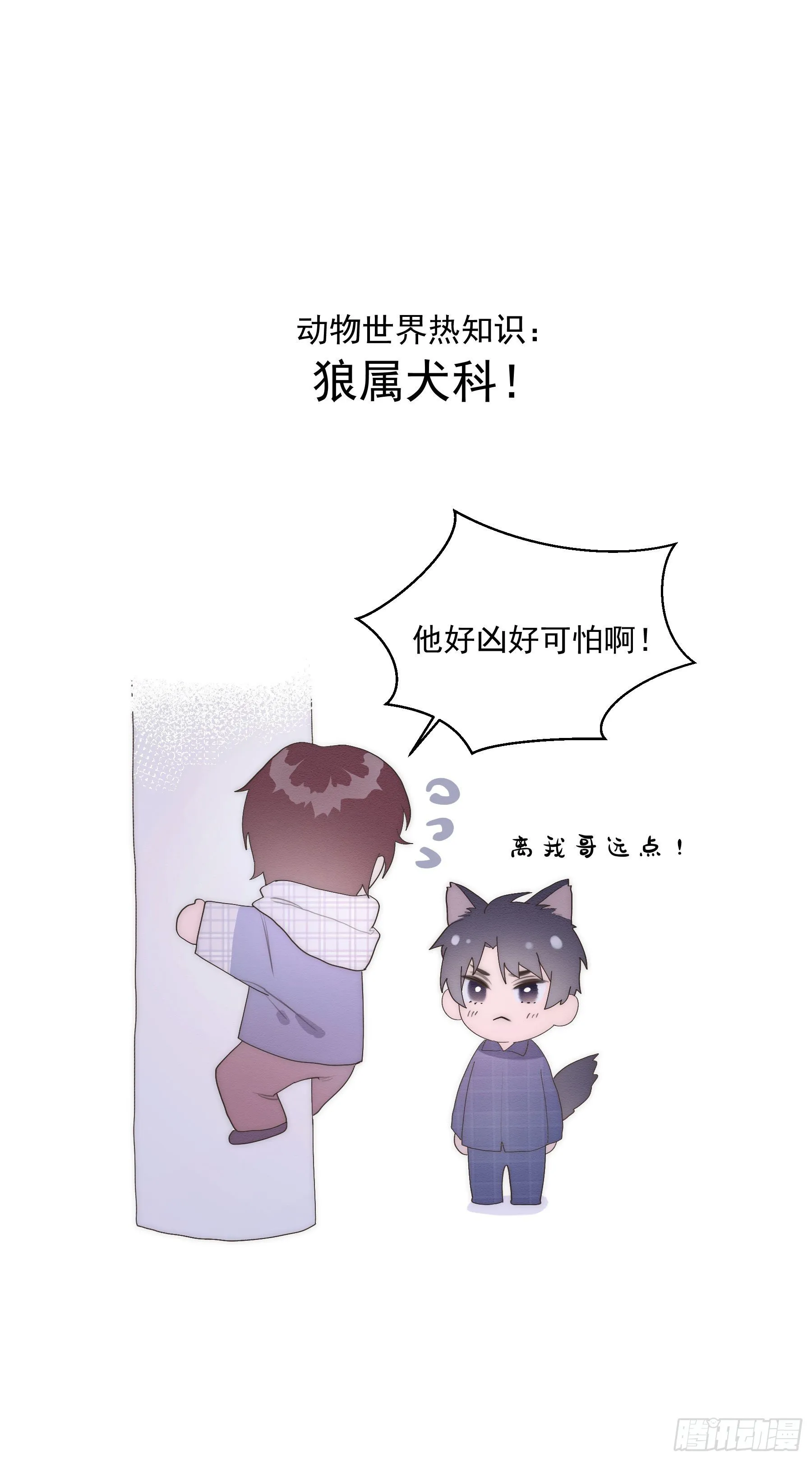 第14颗：见面 第53页