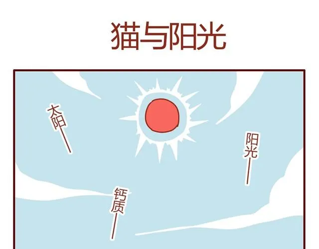 第8话 最喜欢晒太阳了喵~ 第13页