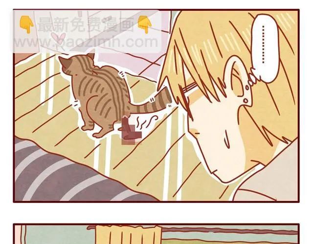 第3话 我的猫哪去了？ 第11页