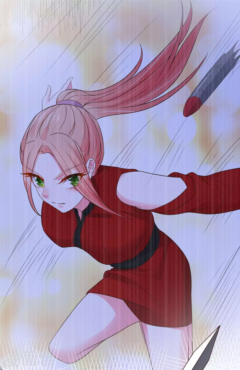 第27话 女子打架让人眼馋 第12页