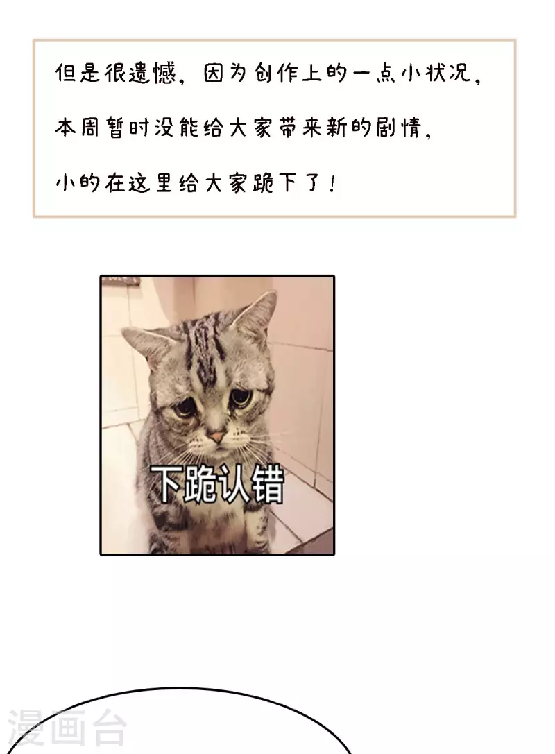 公告 第2页