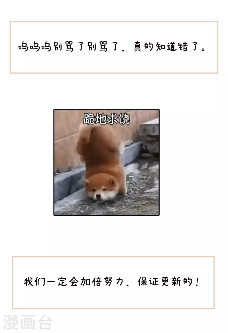 公告 第4页