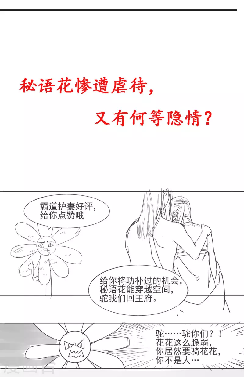 公告 第12页