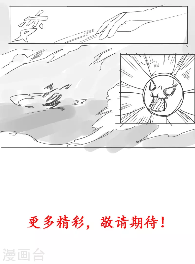 公告 第13页