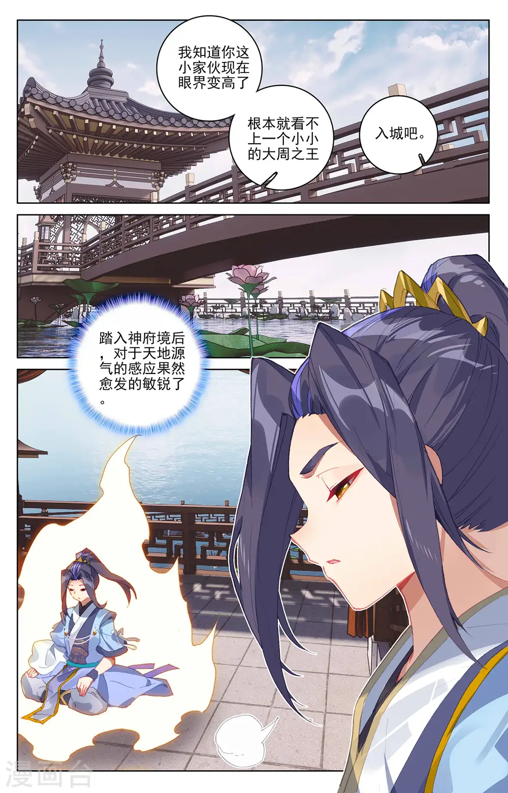 第339话下 神府宝药 第2页