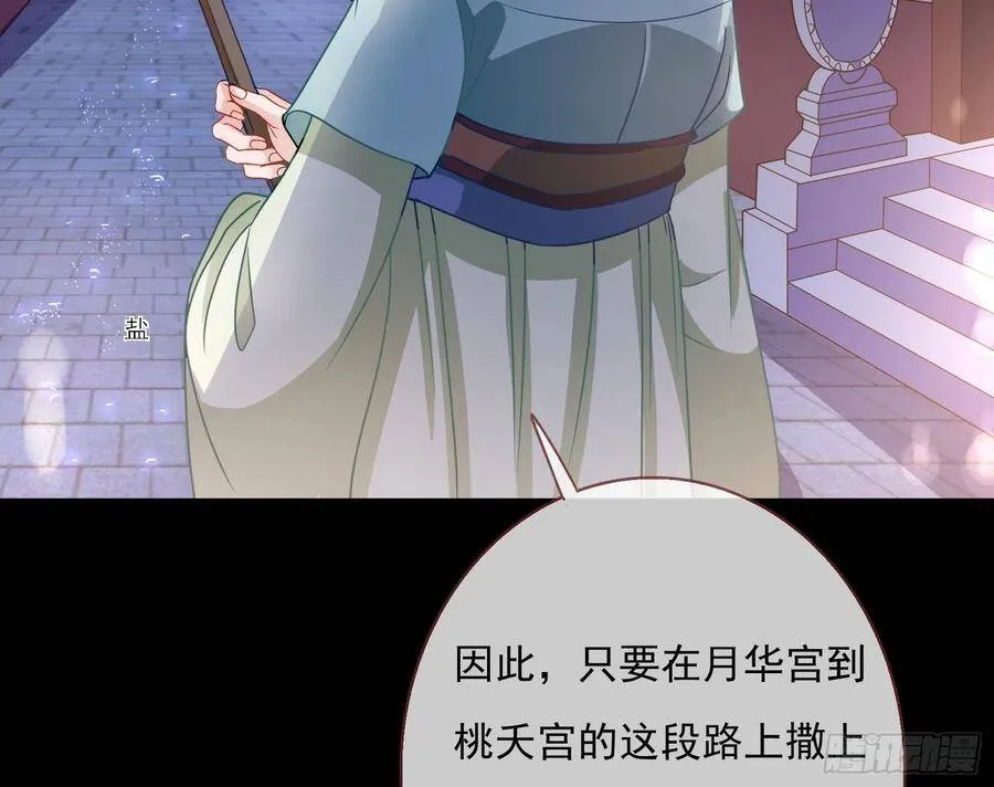 千层套路 第20页