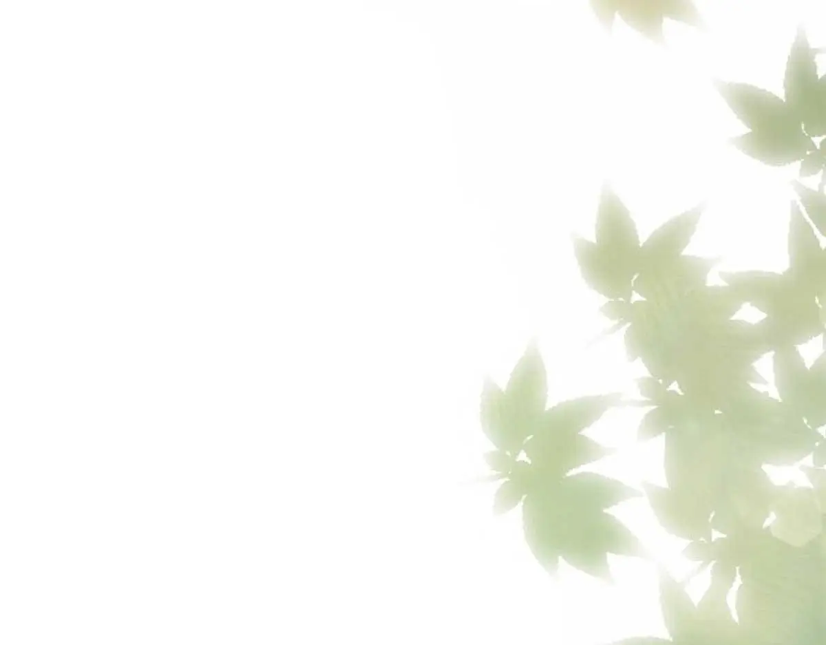 第160话 和大都督做个交易 第70页