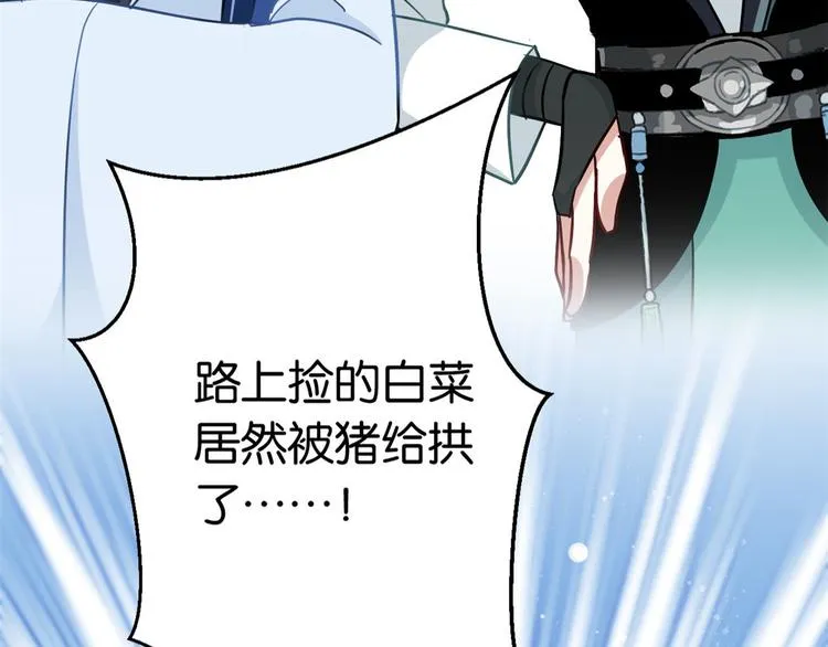 第09话 路上捡的白菜被猪拱了 第27页