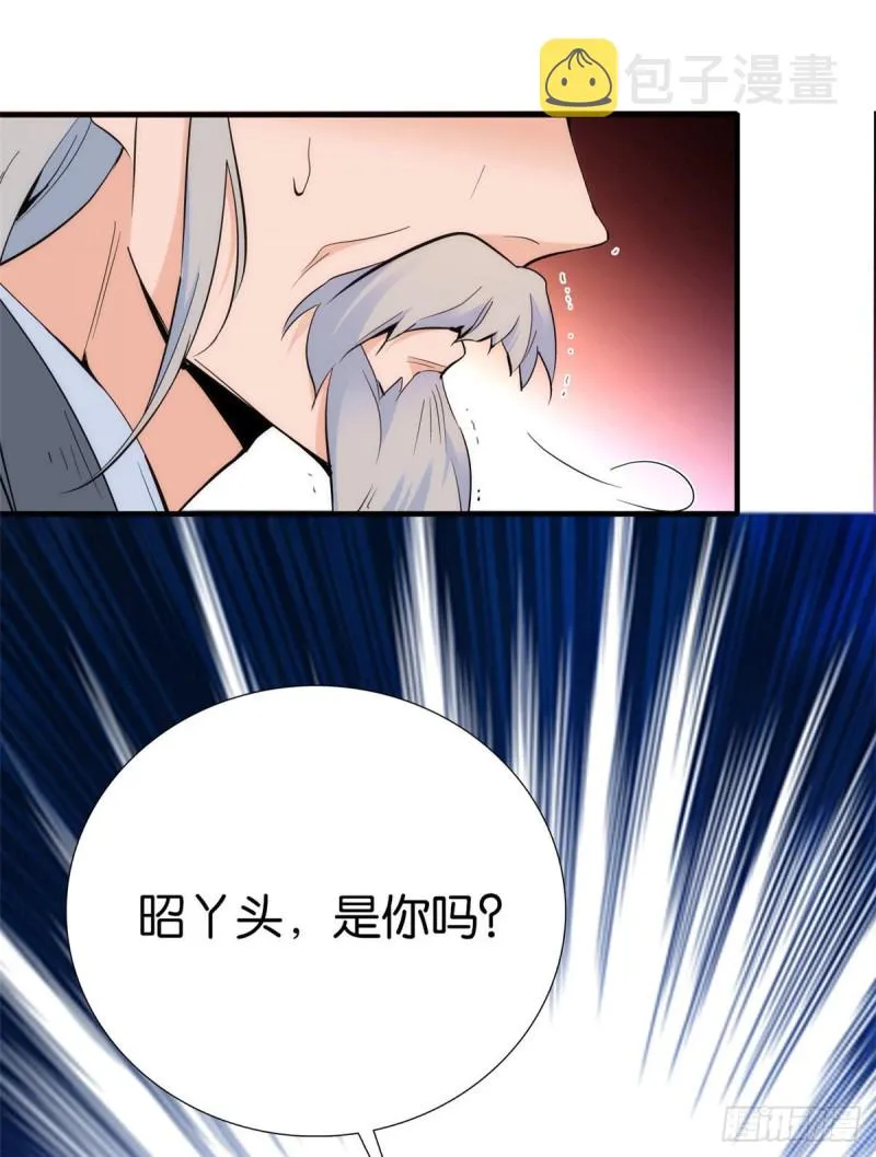 第79话 昭丫头，是你吗 第29页