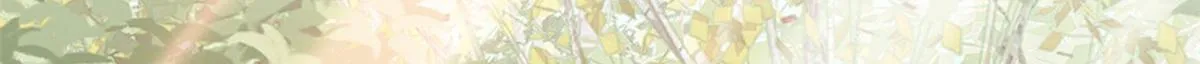 108 怎会有这样狡黠的女孩子 第55页