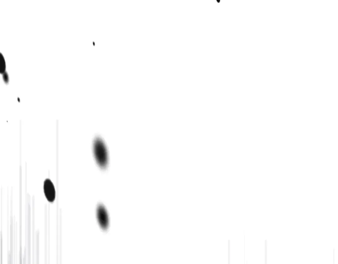 第59话  第21页