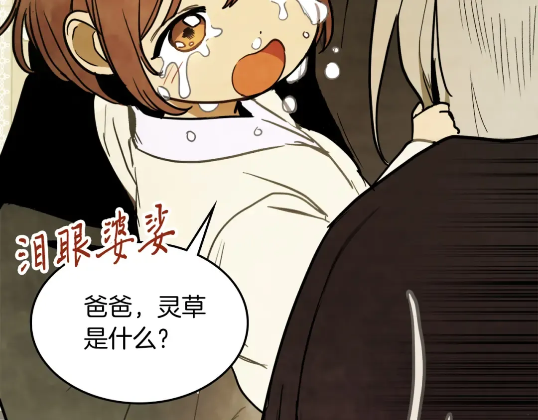第62话 万年参！ 第13页