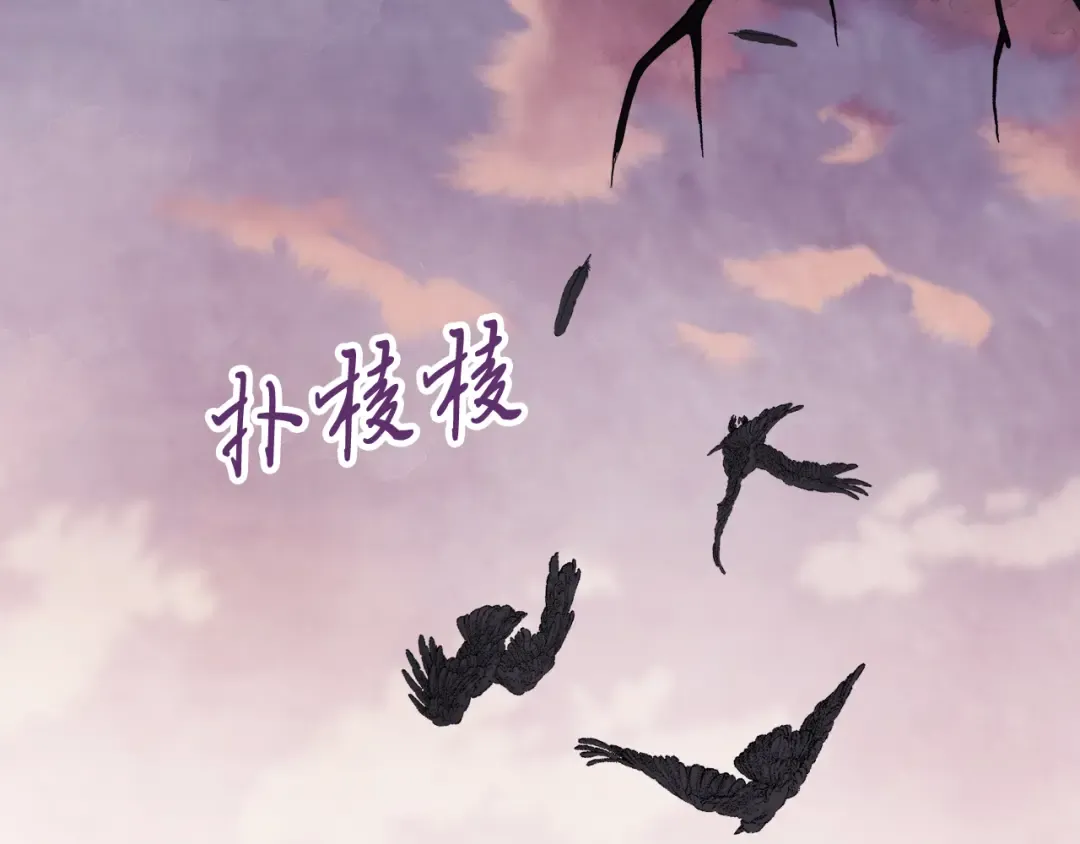 第62话 万年参！ 第207页