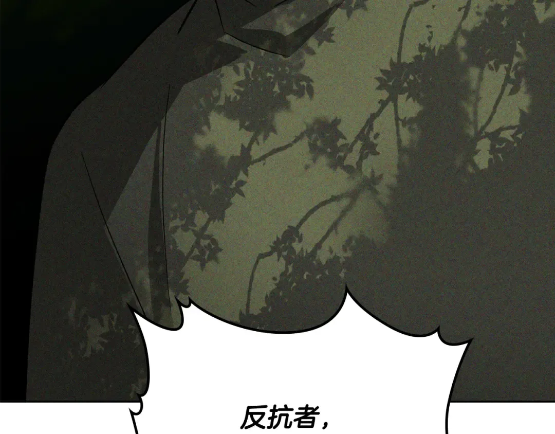 第117话 被人算计了 第106页