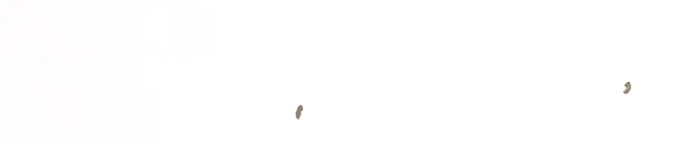 第144话 转危为安 第81页