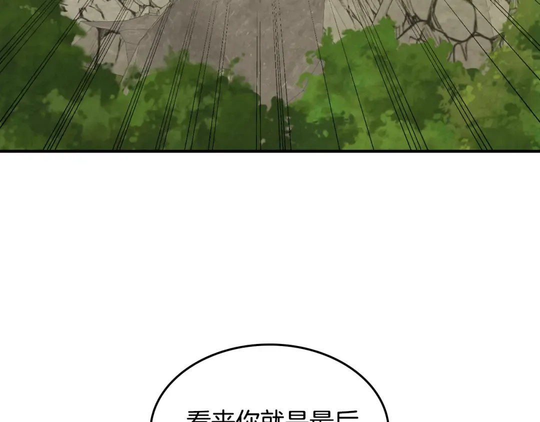第146话 直捣黄龙 第209页