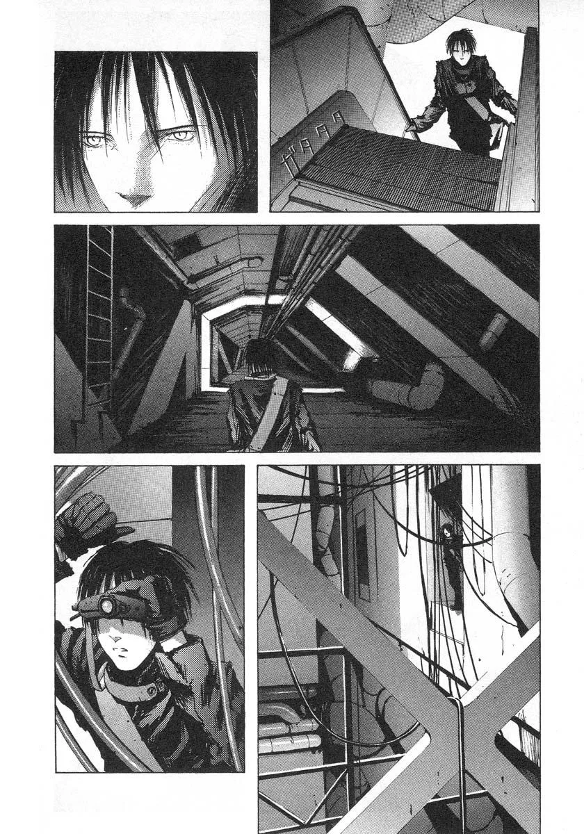 ex-log 第6页
