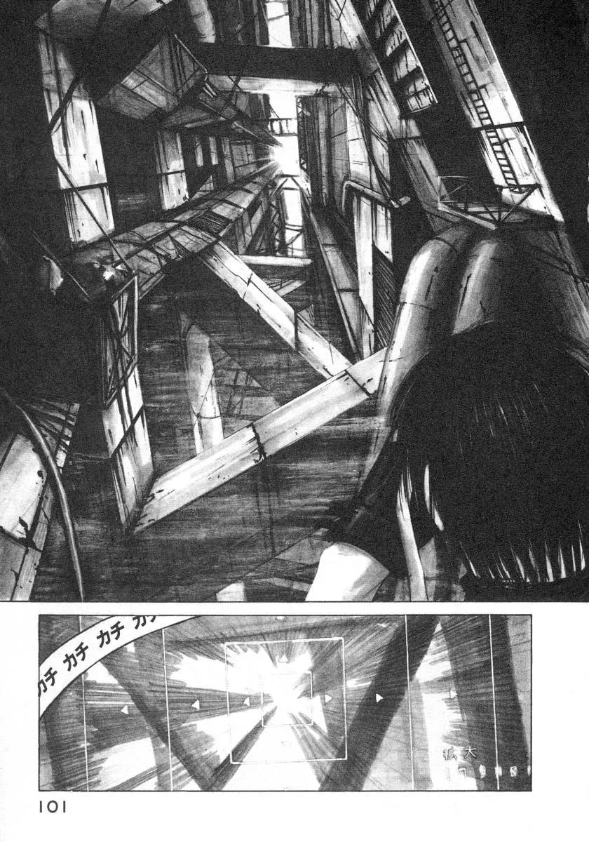 ex-log 第7页