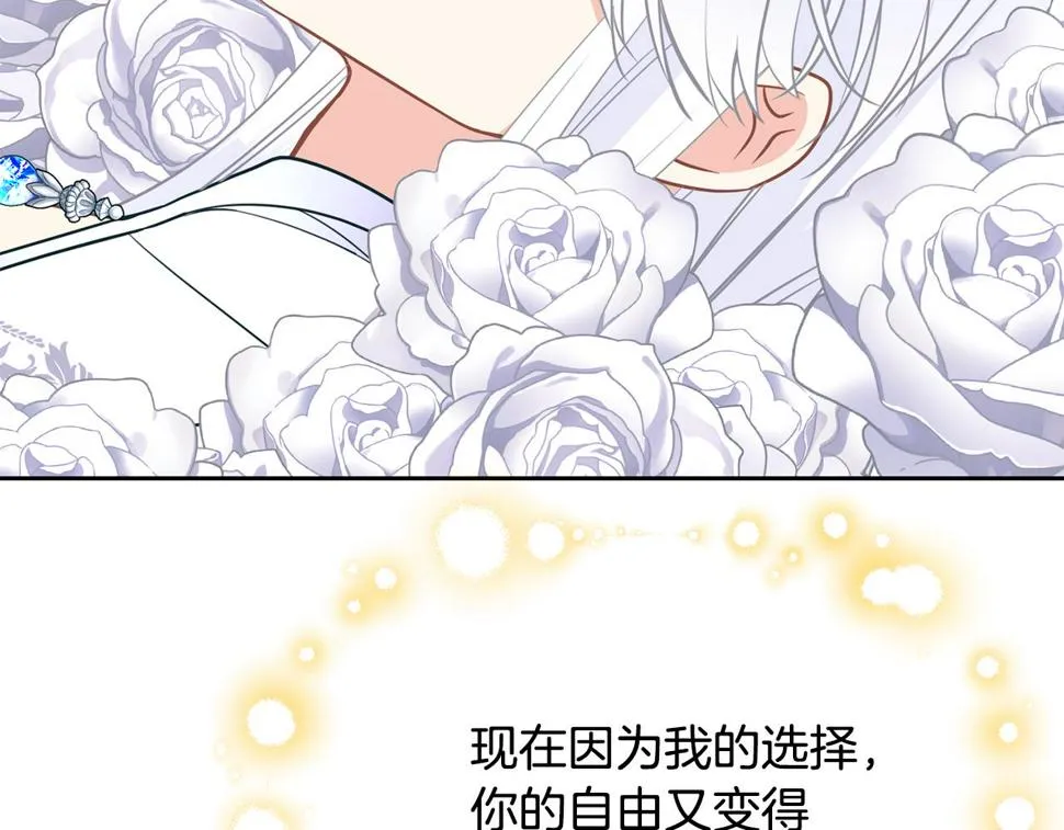 第二季完结篇 尘埃落定 第161页