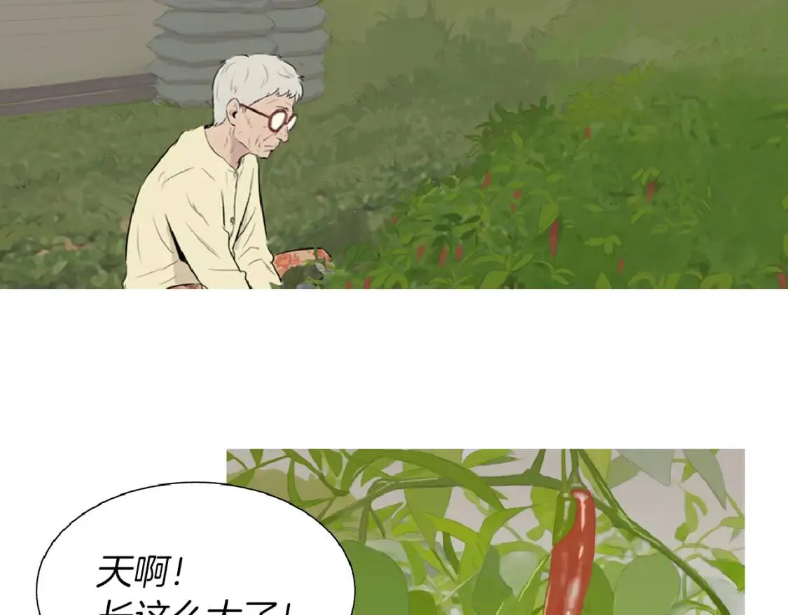 第35话 番茄蔬菜浓汤 第16页
