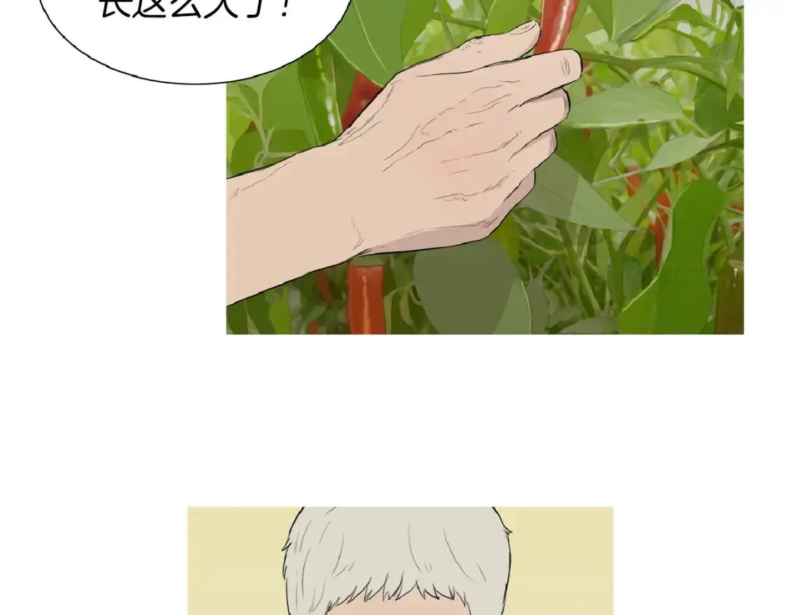 第35话 番茄蔬菜浓汤 第17页