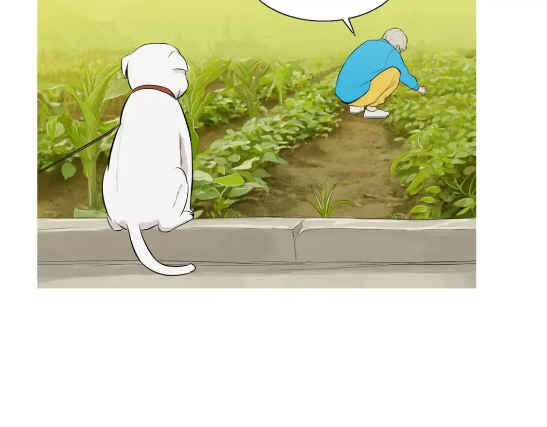 第40话 炖青花鱼 第33页