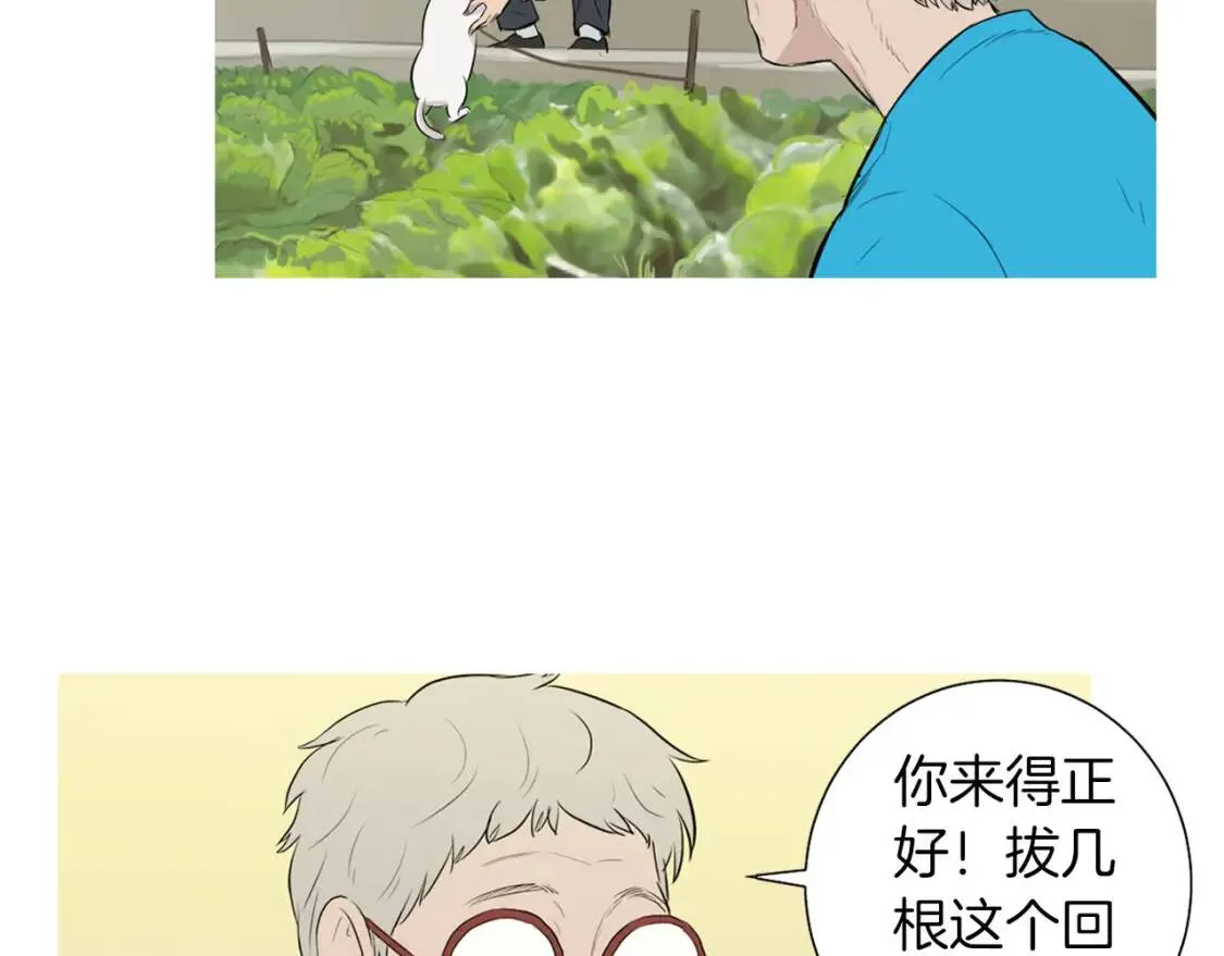 第40话 炖青花鱼 第36页