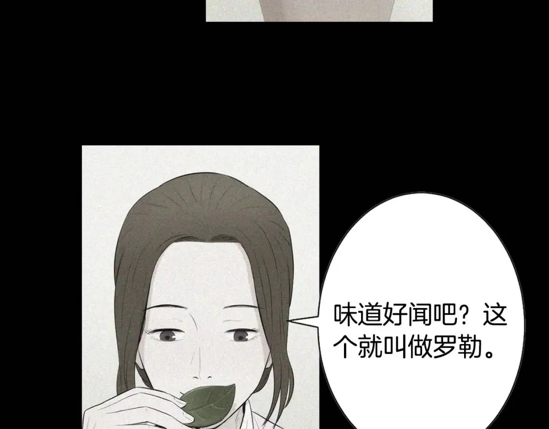 第二季 第1话 菠菜葡萄汤 第24页