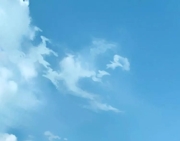 第15话 心里痒痒的 第32页