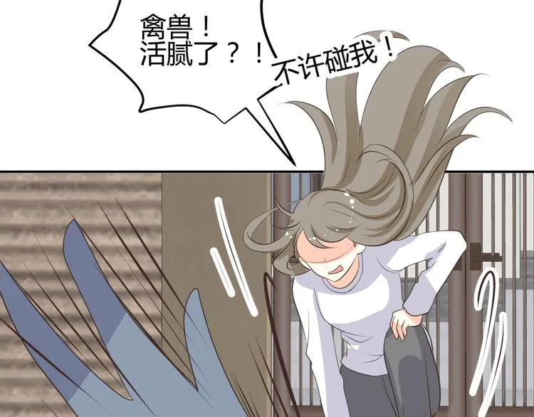第8话 千金小姐穿越成保镖？ 第44页