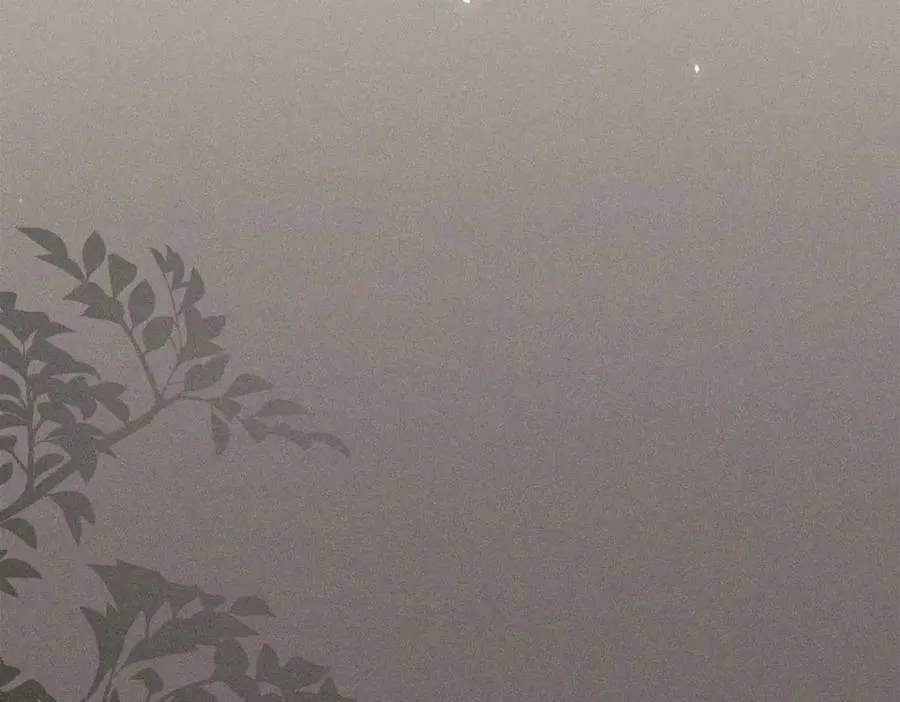 027伤害 第79页