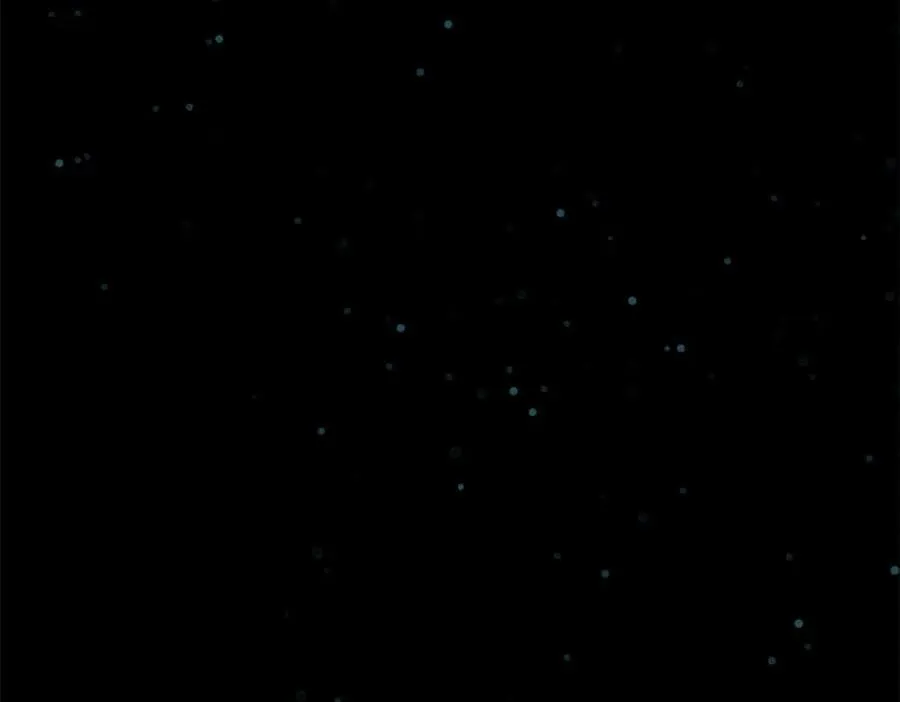 031贪念 第80页