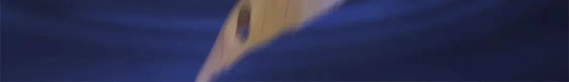 94 奚明煦的结局 第114页