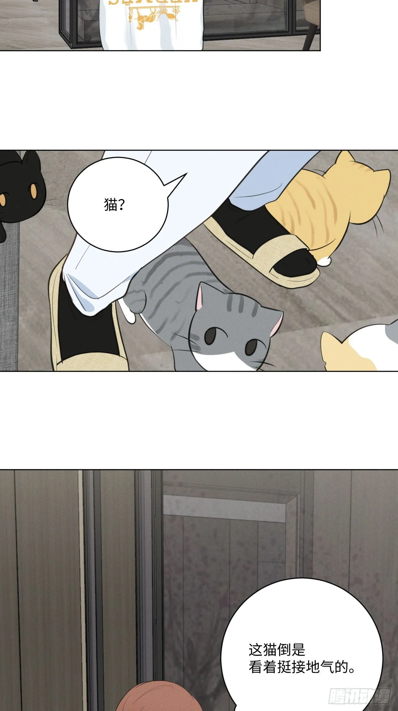 第57话 野猫驯服 第11页
