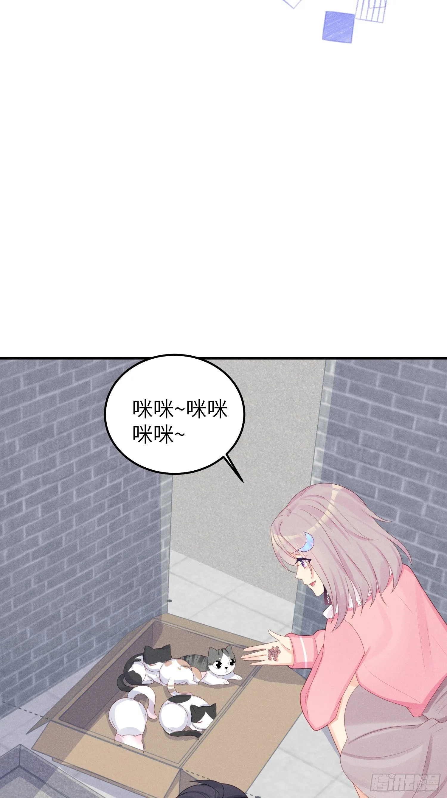 幼猫与虐猫畜牲 第6页