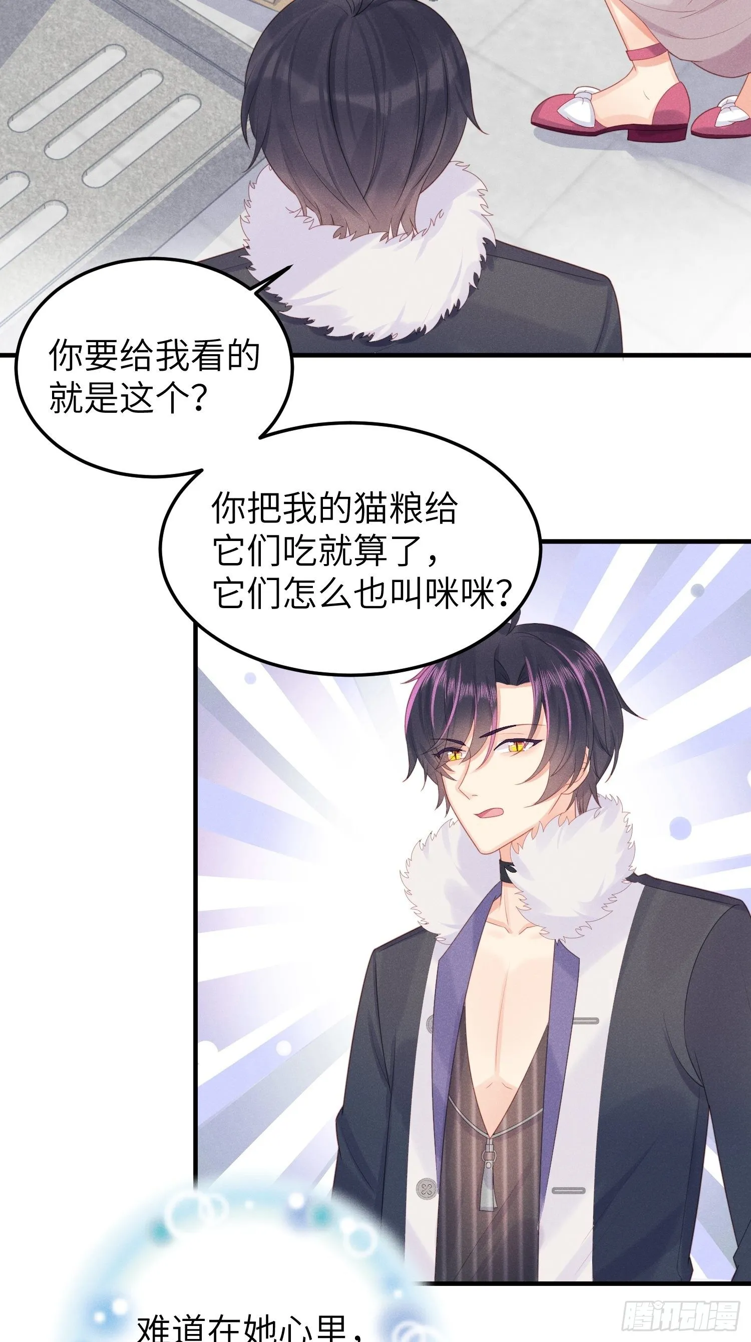 幼猫与虐猫畜牲 第7页