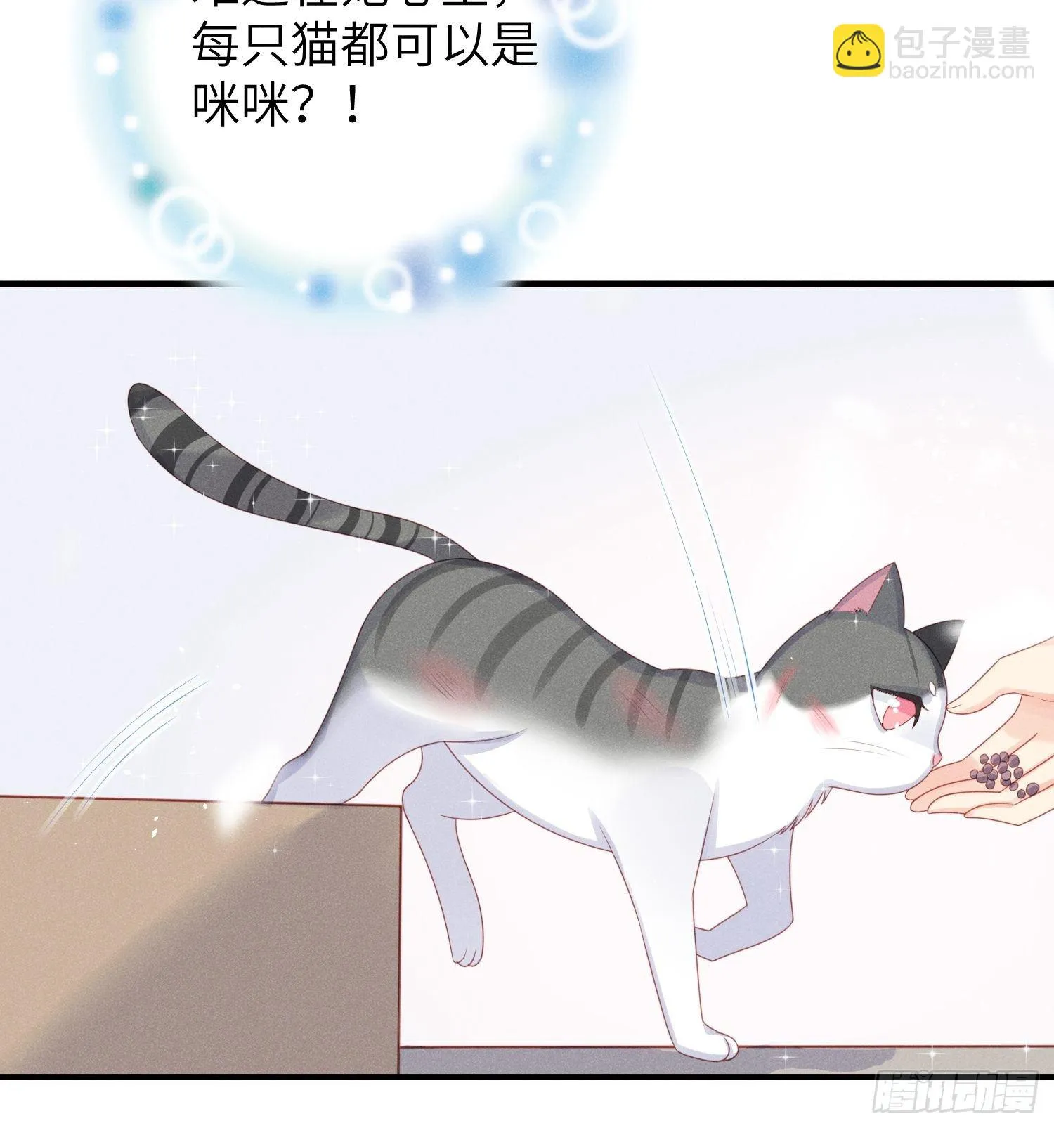 幼猫与虐猫畜牲 第8页
