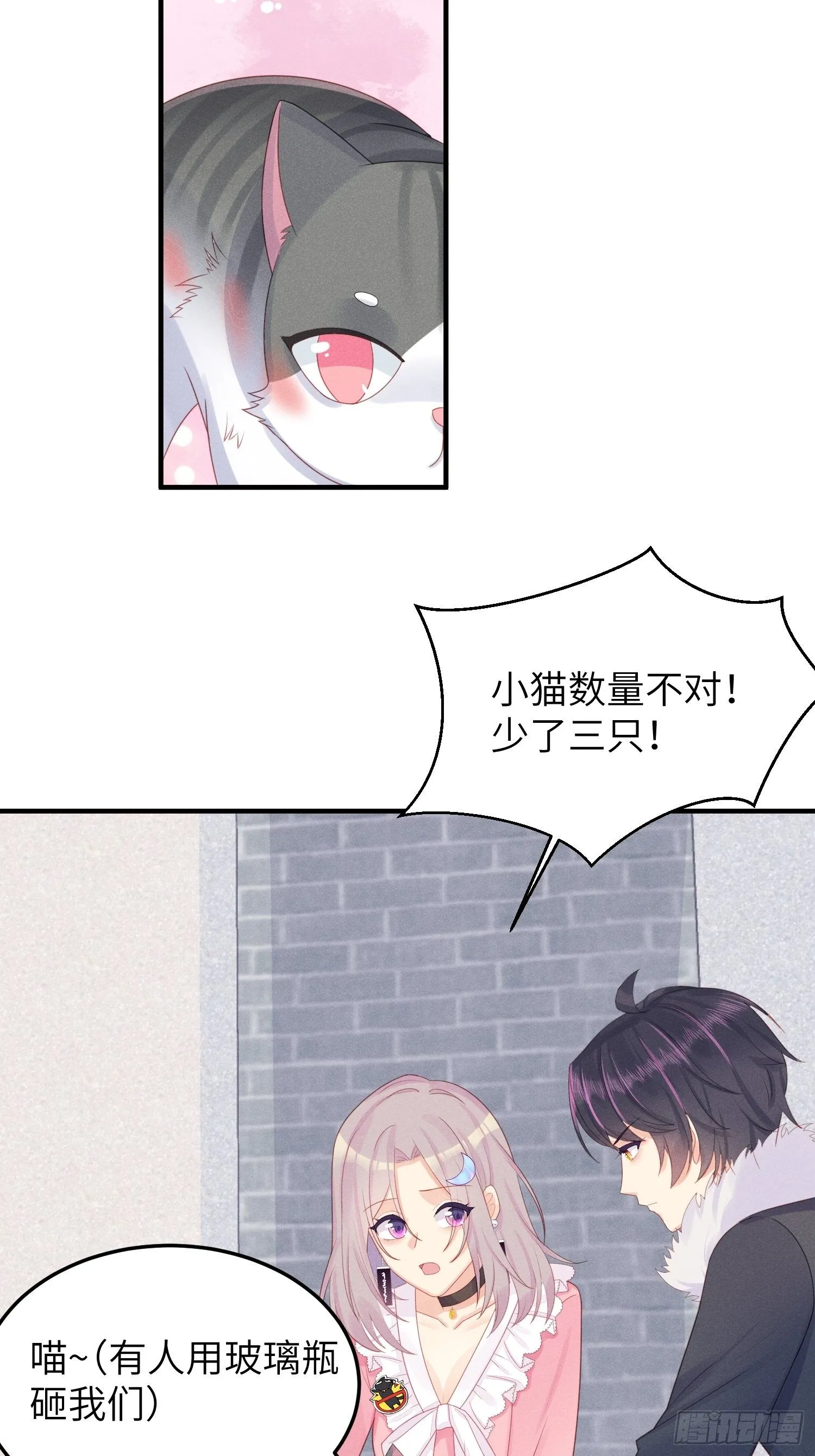 幼猫与虐猫畜牲 第10页