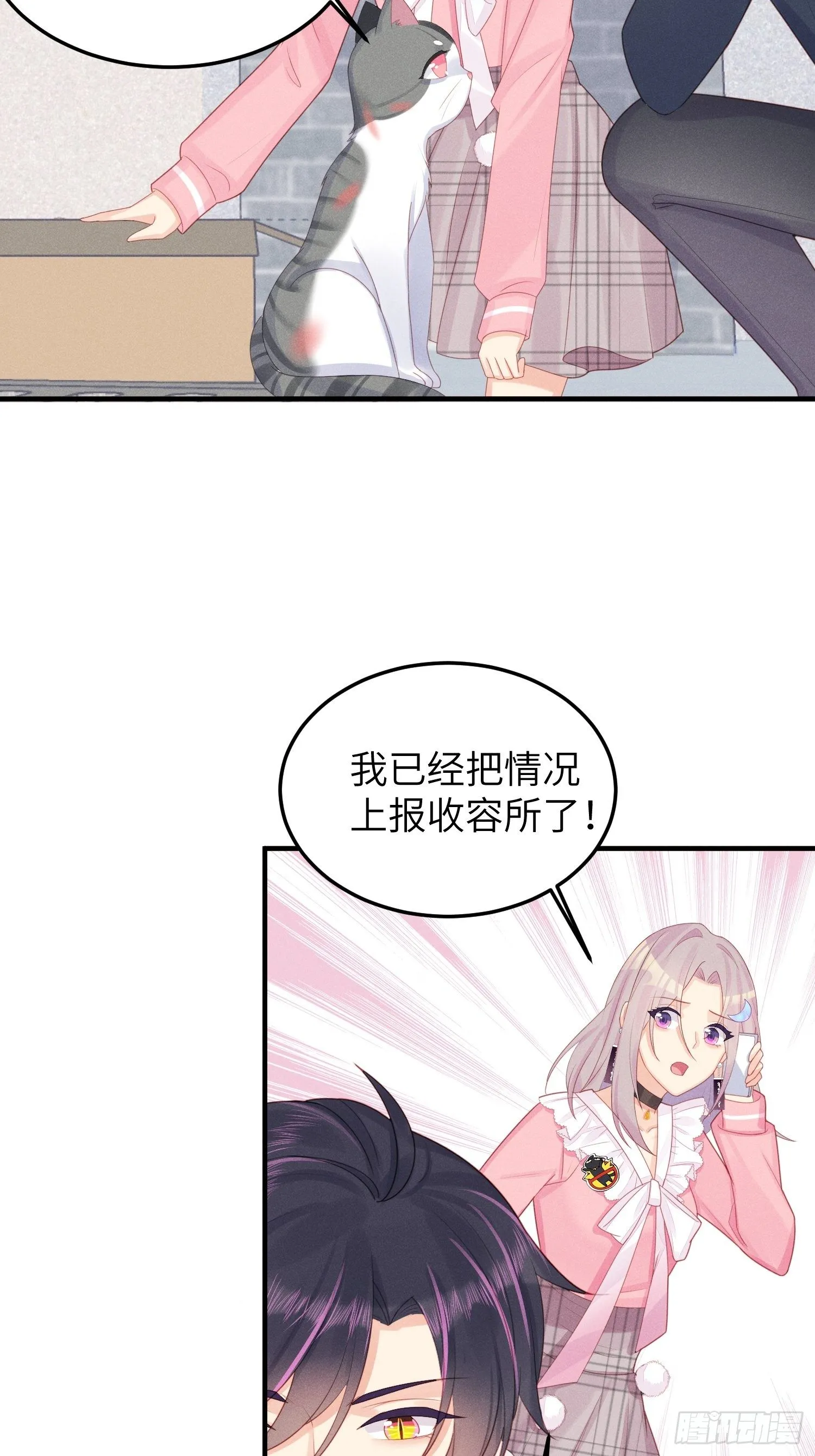 幼猫与虐猫畜牲 第11页