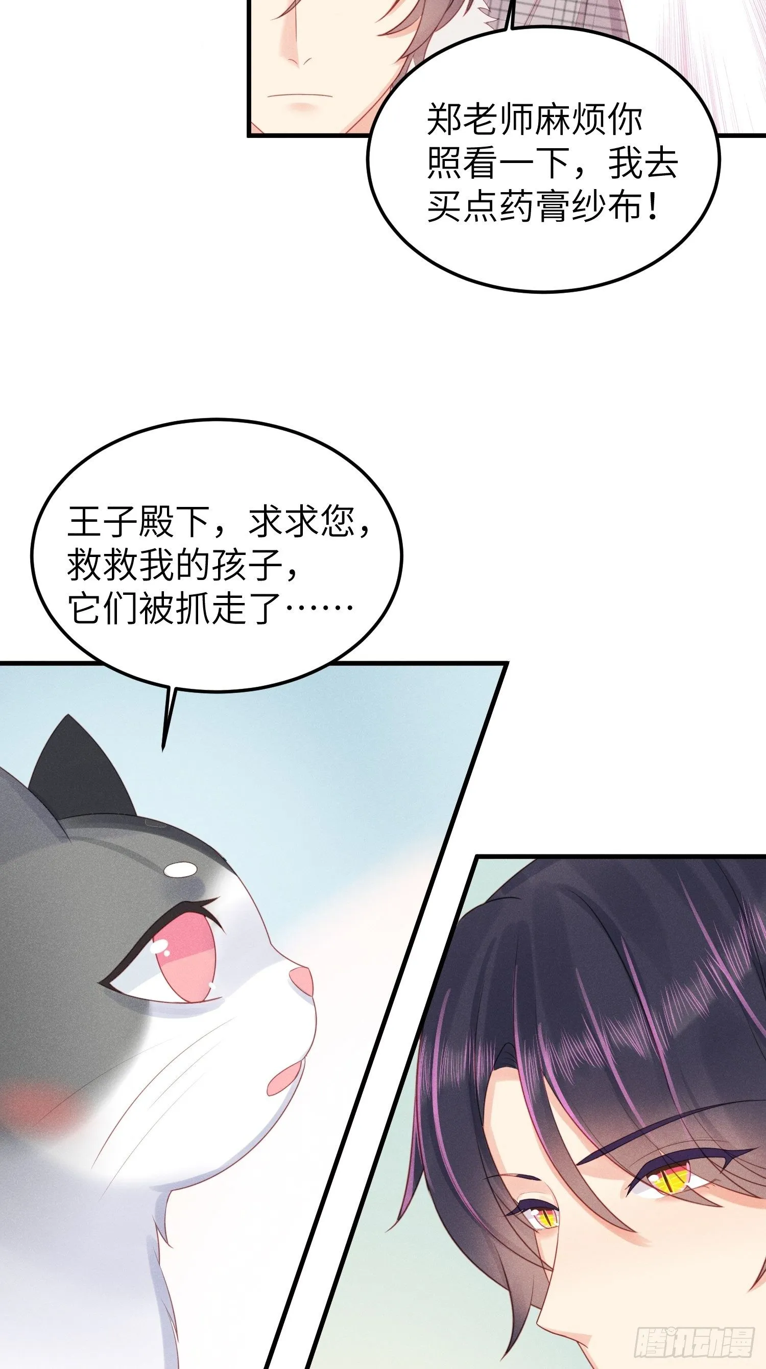 幼猫与虐猫畜牲 第12页