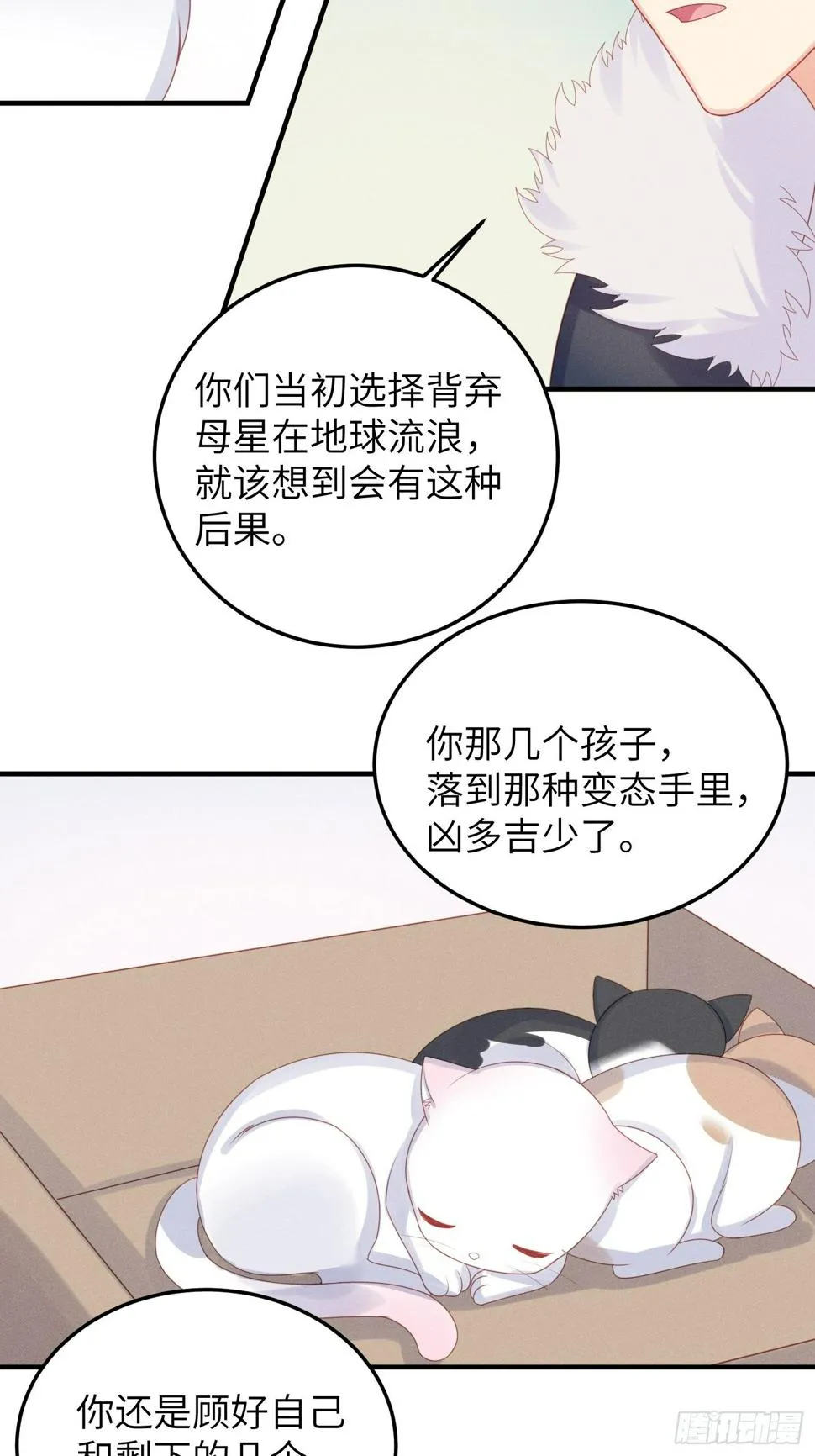 幼猫与虐猫畜牲 第13页