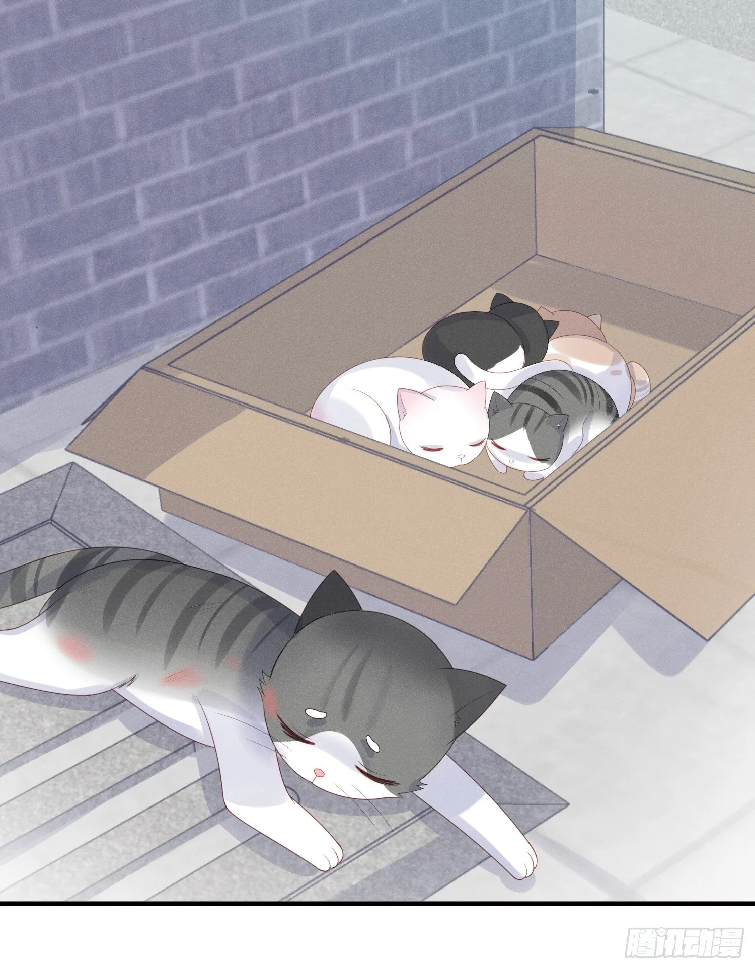 幼猫与虐猫畜牲 第15页