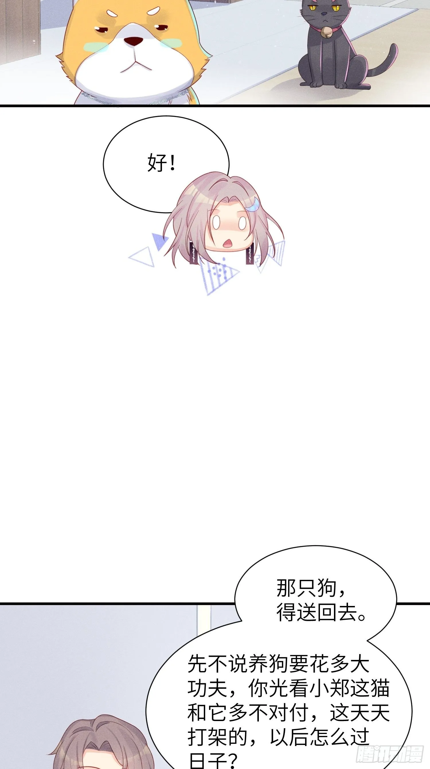 领地意识 第11页