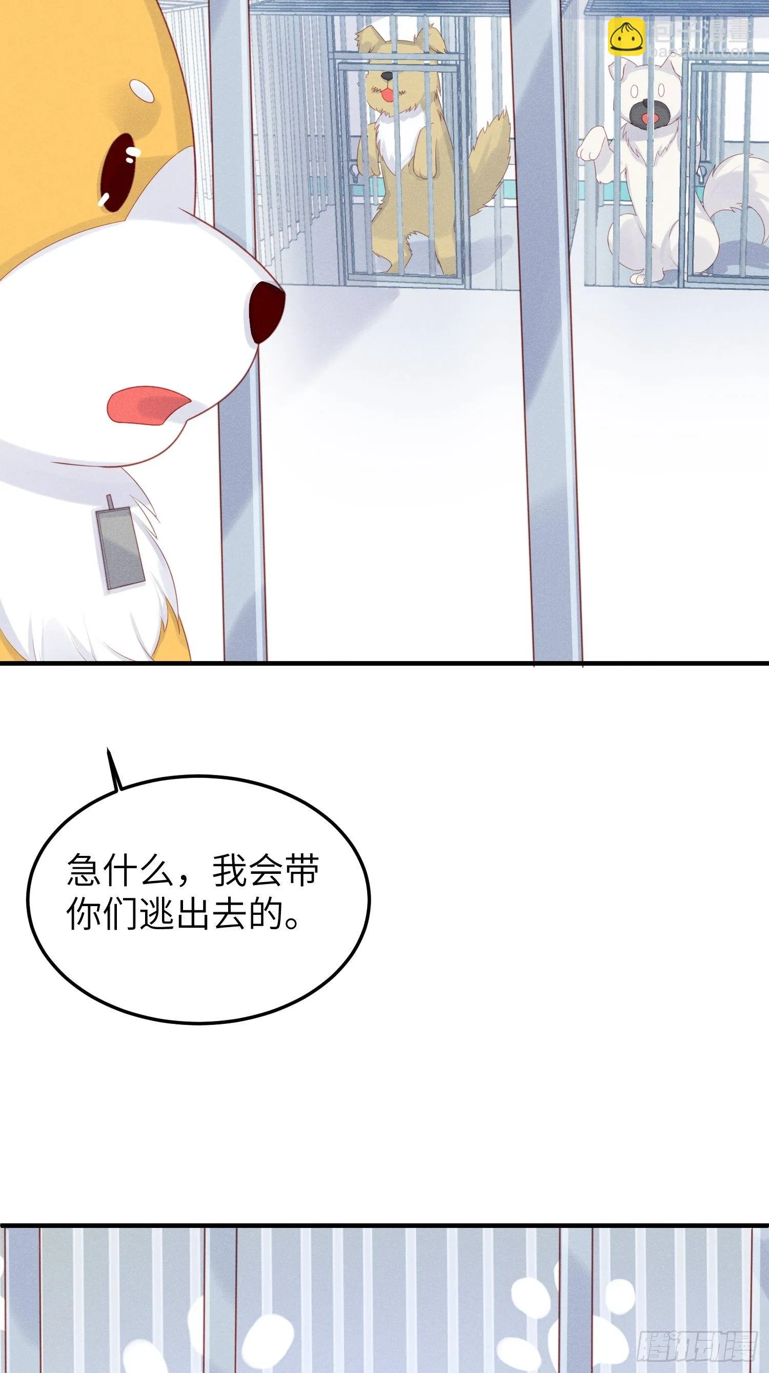 人间的十二年 第4页